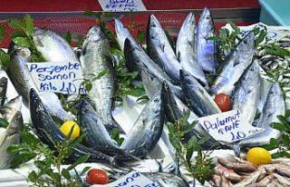 Ordu’da palamut 40 lira