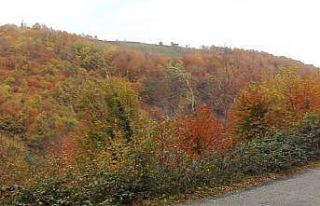 Ordu’da sonbahar güzelliği