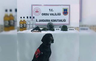 Ordu’da uyuşturucuya geçit yok