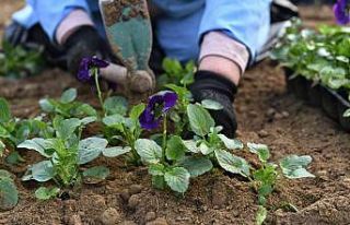 Osmangazi çiçek açtı