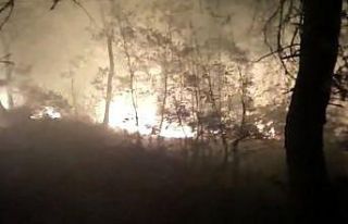 Osmaniye’de çıkan orman yangını kontrol altına...