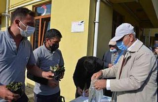 Osmanlı Çileği fideleri halkla buluştu