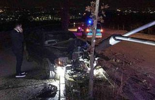 Otomobil aydınlatma direğini ve ağacı devirdi:...