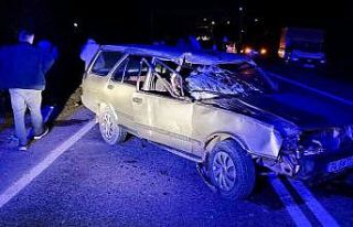 Otomobil yol kenarındaki ineklere çarptı: 2 yaralı