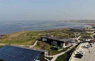 (Özel) 81 vilayette yetişen şifalı bitkileri tek...