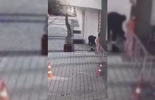 (Özel) Bursa’da insanlık ölmüş dedirten görüntü:...