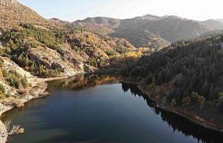 (ÖZEL) Erkmen Tabiat Parkı’ndaki eşsiz doğa...