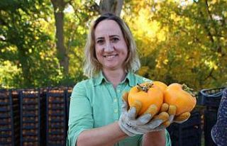 (ÖZEL) Gencinden yaşlısına, kadınından erkeğine...