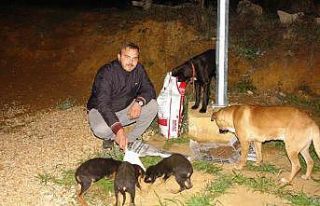 (ÖZEL) Sloganları ’Nerede bir canlı varsa bu...