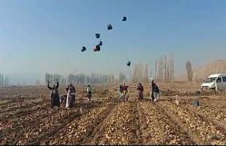 (ÖZEL) Tarım işçileri havaya kova atıp doyasıya...