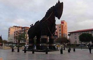 (Özel) Truva Atı, Kazdağı Göknarları’ndan...