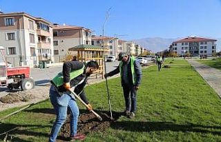 Park ve yeşil alanlar yenileniyor