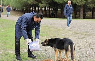 Patili dostlara 1 ton mama yardımı yapıldı