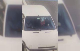 Peluş maskeli hırsız yakalandı