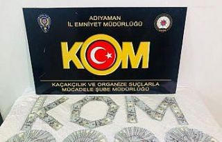 Piyasaya sahte dolar sürme isteyen 2 kişi tutuklandı