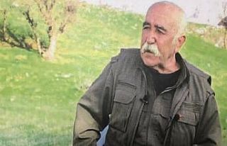 PKK’nın sözde kurucularından Ali Haydar Kaytan...