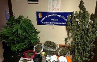 Polis, uyuşturucuya geçit vermedi
