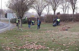 Refüj ve tretuvarlarda yabani ot temizliği