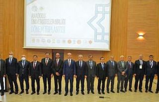 Rektör Kızılay, Anadolu Üniversiteler Birliği...