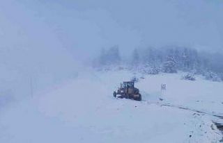 Rize’de karla mücadele başladı
