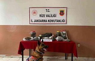 Rize’de uyuşturucu operasyonu