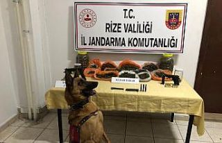 Rize’de uyuşturucu operasyonu: 2 kişi gözaltına...