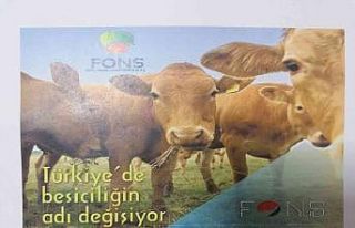 Saadet zinciri operasyonunda flaş gelişme: ’Yeni...