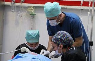 ’Saç kaybı, özgüven kaybına yol açıyor’