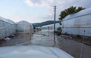 Sağanak yağış, seraların tahliye kanallarını...