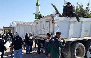 Samsat’ta cami cemaatine fidan dağıtıldı