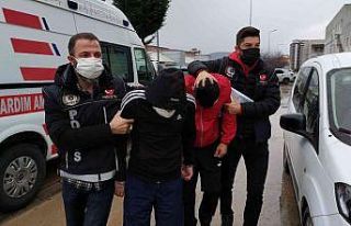 Samsun’da 4 kilo bonzai ele geçirildi: 4 gözaltı