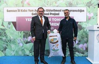 Samsun’da çiftçilere 74 ton yem bitkisi