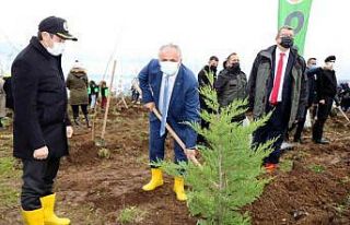 Samsun’da fidanlar toprakla buluştu: Hedef 771...