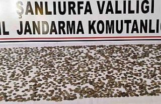 Şanlıurfa’da çeşitli dönemlere ait 2 bin 460...