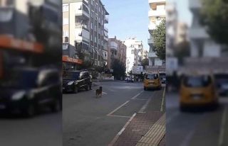 Saygı duruşunda yerinden bir an olsun kıpırdamayan...