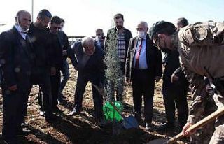 Şehit Fatih Doğan adına hatıra ormanı oluşturuldu