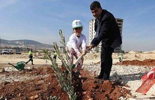 Şehitkamil’de binlerce fidan toprakla buluştu