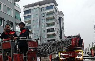 Sekizinci katta mahsur kalan serçeyi itfaiye kurtardı