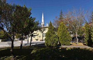 Selçuklu’da cami avluları yeşile büründü