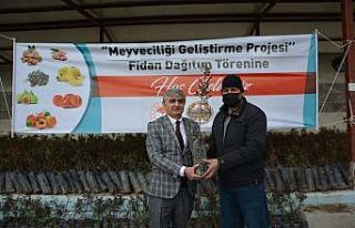 Selendi’de Antep Fıstığı üretimi artırılacak