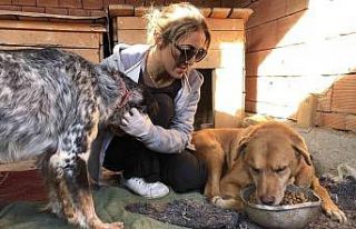 Selzede hayvanlar, "Patiköy"de yeniden...