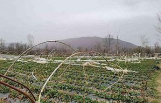 Seralar lodosla parçalandı