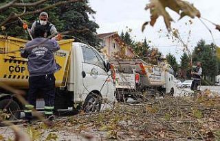Serdivan Belediyesi’nden sonbahar mesaisi