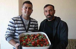 Sezonun ilk örtü altı çileği kilosu 30 liradan...