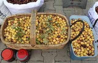 Sezonun ilk üvezi, tezgahlarda yerini aldı