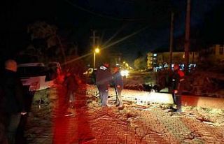 Şiddetli fırtına çam ağacını devirdi