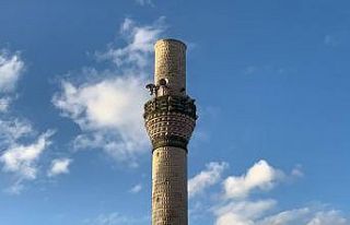 Şiddetli fırtına cami minaresini yıktı