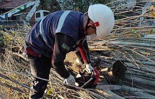 Şiddetli lodos enerji hatlarını tahrip etti