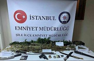 Şile’de seraya çevrilen evde 94 kök Hint keneviri...