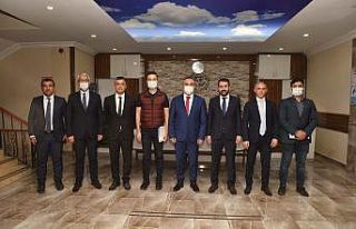 Sınır kapılarında inceleme